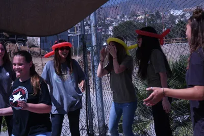 DSC_2056 (Large).JPG